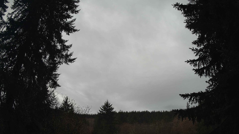 Pacific Northwest skyline timelapse frame from Mar 20th, 2026 at 8:00 AM