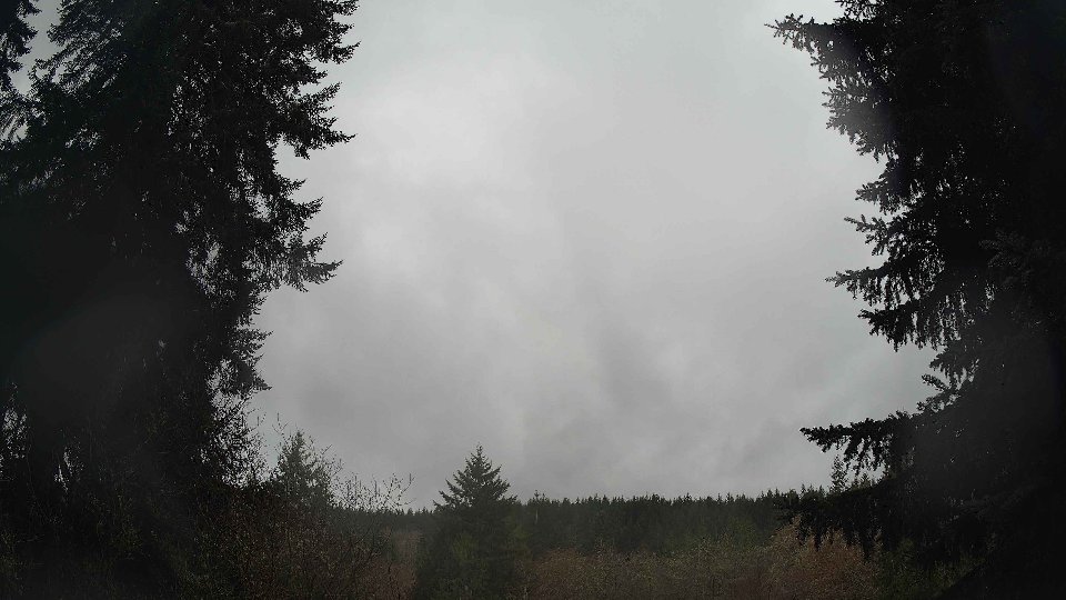 Pacific Northwest skyline timelapse frame from Mar 20th, 2026 at 1:30 PM