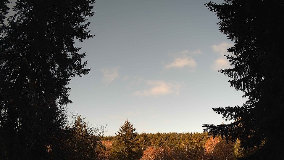 Pacific Northwest skyline timelapse frame from Mar 21st, 2026 at 8:30 AM