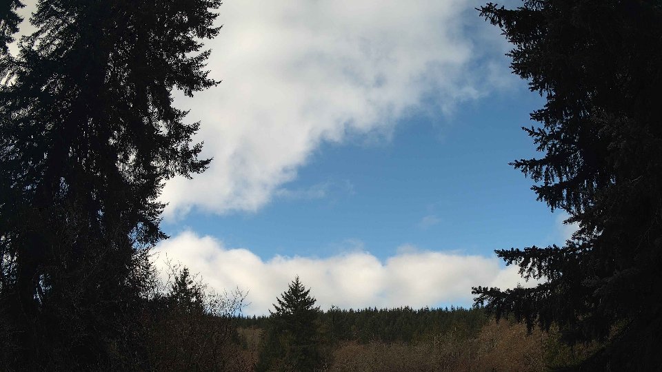 Pacific Northwest skyline timelapse frame from Mar 21st, 2026 at 10:00 AM