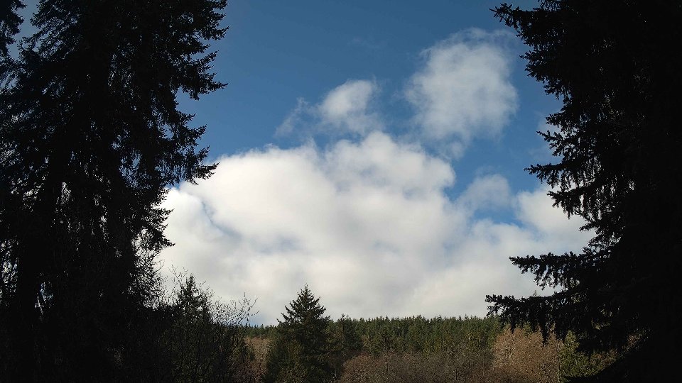 Pacific Northwest skyline timelapse frame from Mar 21st, 2026 at 10:30 AM