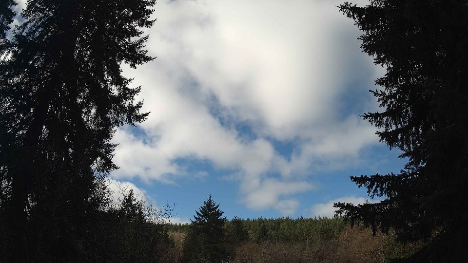 Pacific Northwest skyline timelapse frame from Mar 21st, 2026 at 10:45 AM