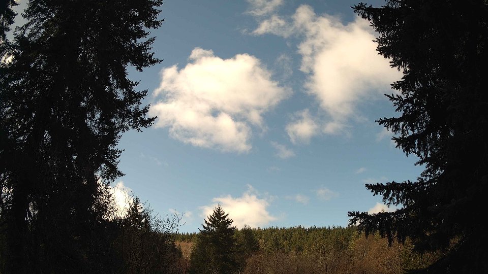 Pacific Northwest skyline timelapse frame from Mar 21st, 2026 at 11:15 AM