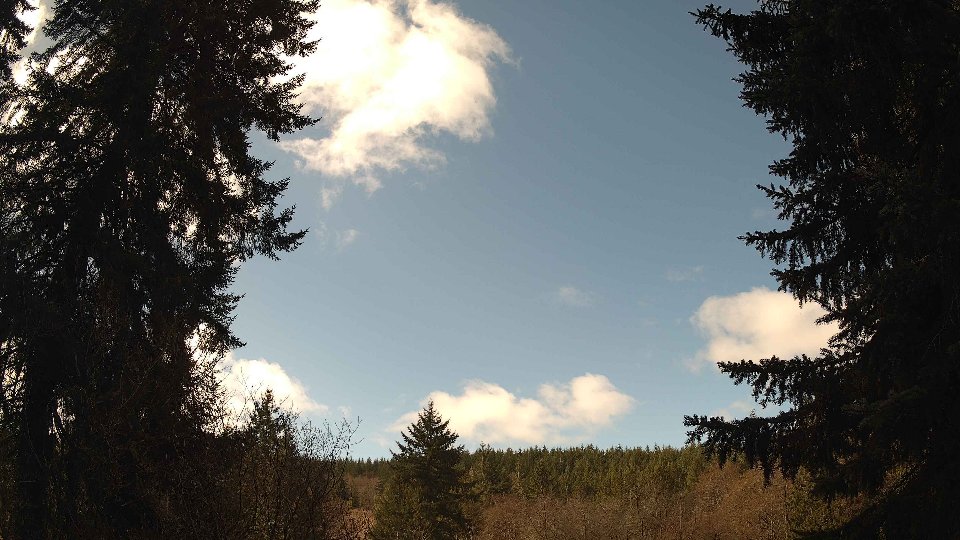 Pacific Northwest skyline timelapse frame from Mar 21st, 2026 at 11:30 AM