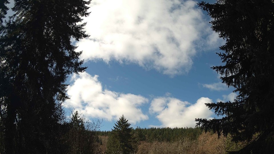 Pacific Northwest skyline timelapse frame from Mar 21st, 2026 at 11:45 AM