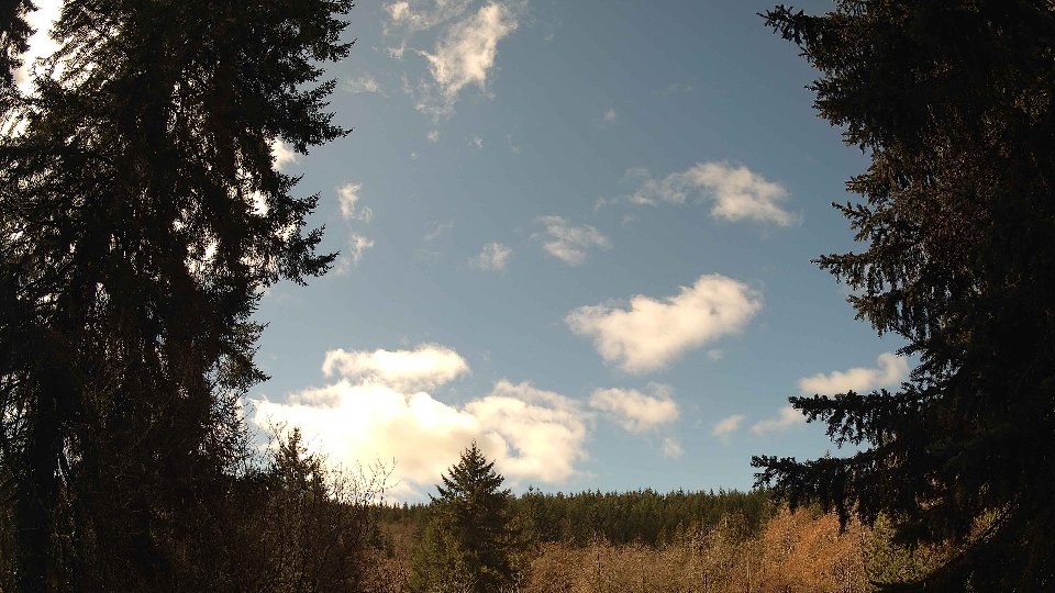 Pacific Northwest skyline timelapse frame from Mar 21st, 2026 at 12:00 PM