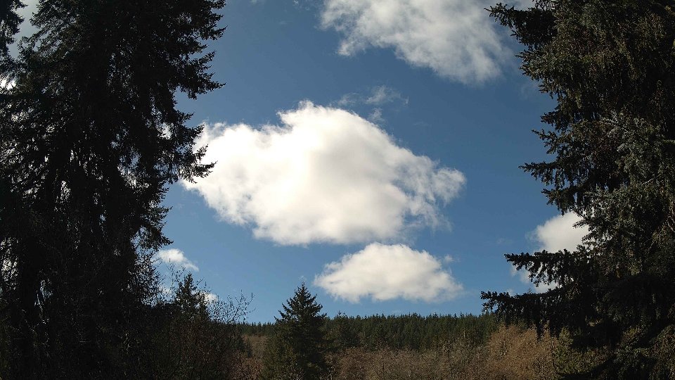Pacific Northwest skyline timelapse frame from Mar 21st, 2026 at 12:15 PM