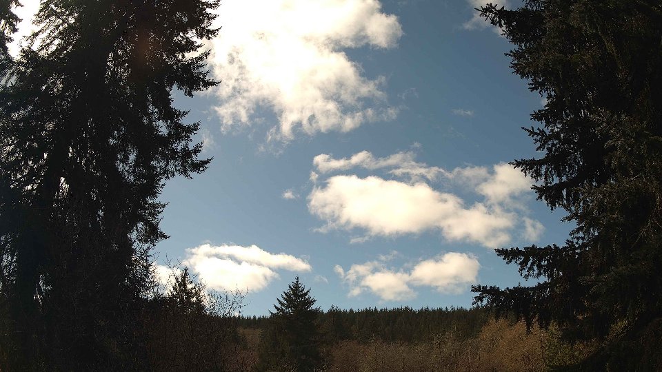 Pacific Northwest skyline timelapse frame from Mar 21st, 2026 at 12:30 PM