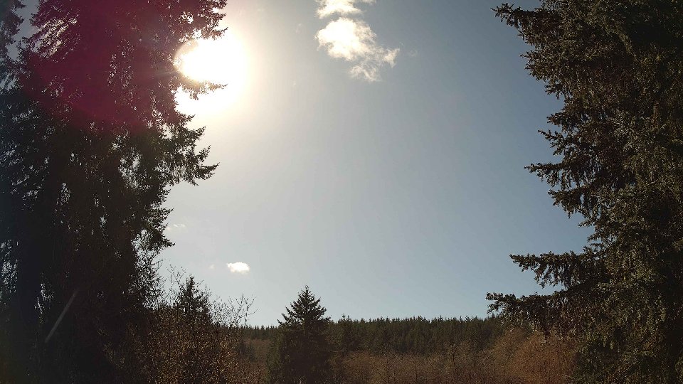 Pacific Northwest skyline timelapse frame from Mar 21st, 2026 at 2:30 PM