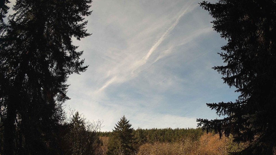 Pacific Northwest skyline timelapse frame from Mar 22nd, 2026 at 11:00 AM
