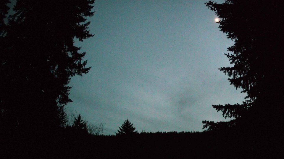 Pacific Northwest skyline timelapse frame from Mar 22nd, 2026 at 8:00 PM