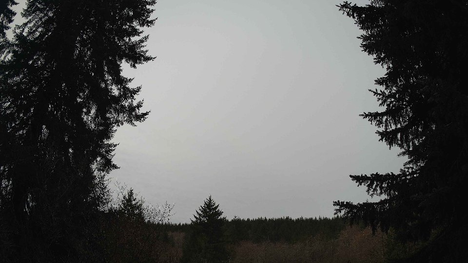 Pacific Northwest skyline timelapse frame from Mar 23rd, 2026 at 11:00 AM
