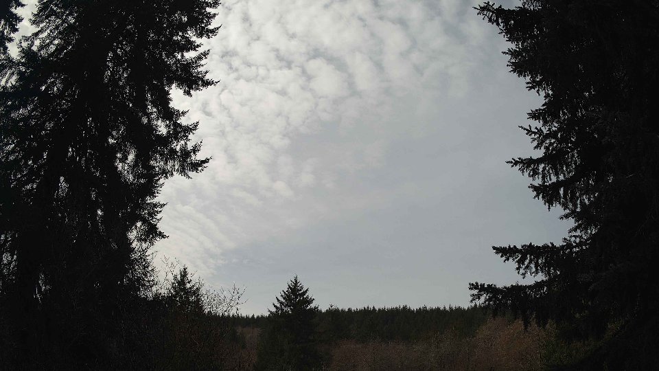 Pacific Northwest skyline timelapse frame from Mar 23rd, 2026 at 11:45 AM