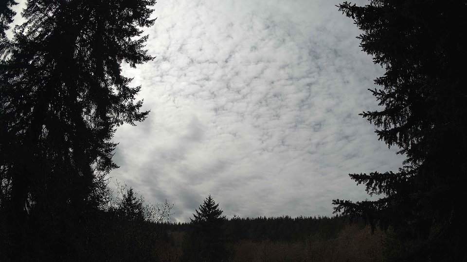Pacific Northwest skyline timelapse frame from Mar 23rd, 2026 at 1:15 PM