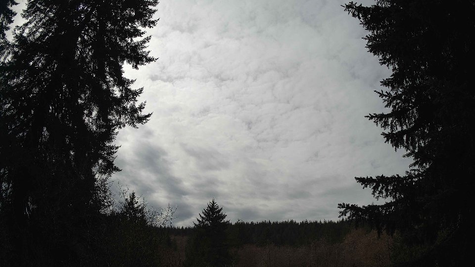 Pacific Northwest skyline timelapse frame from Mar 23rd, 2026 at 1:30 PM