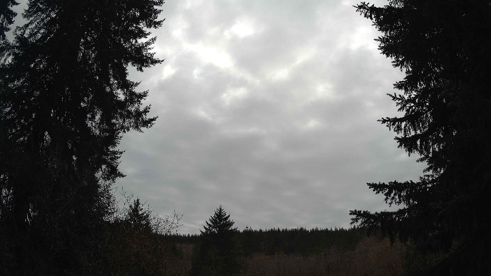 Pacific Northwest skyline timelapse frame from Mar 23rd, 2026 at 3:15 PM