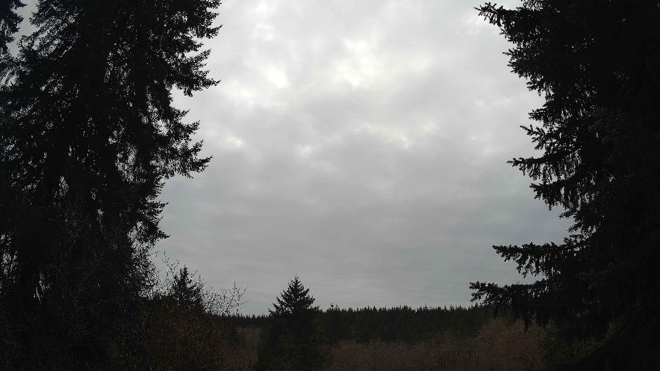 Pacific Northwest skyline timelapse frame from Mar 23rd, 2026 at 4:00 PM
