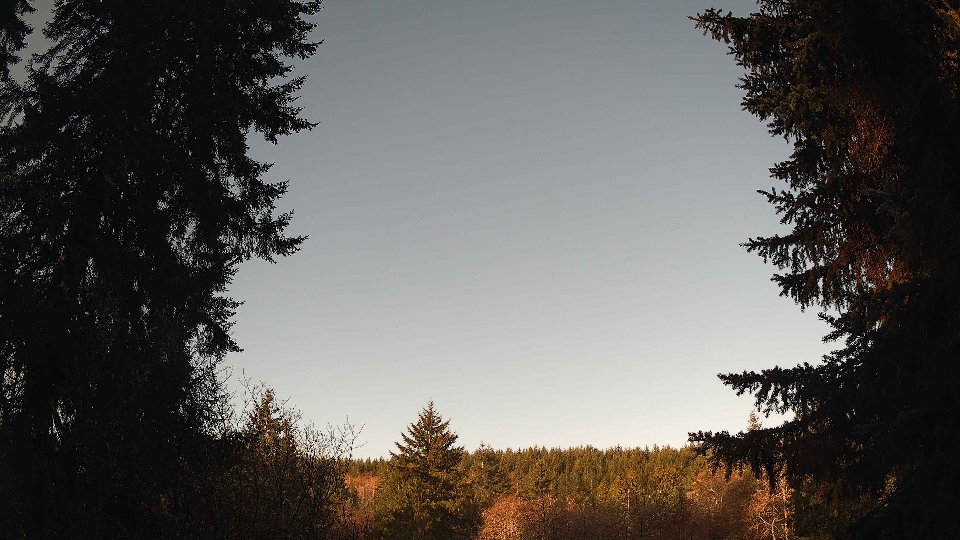 Pacific Northwest skyline timelapse frame from Mar 25th, 2026 at 8:15 AM