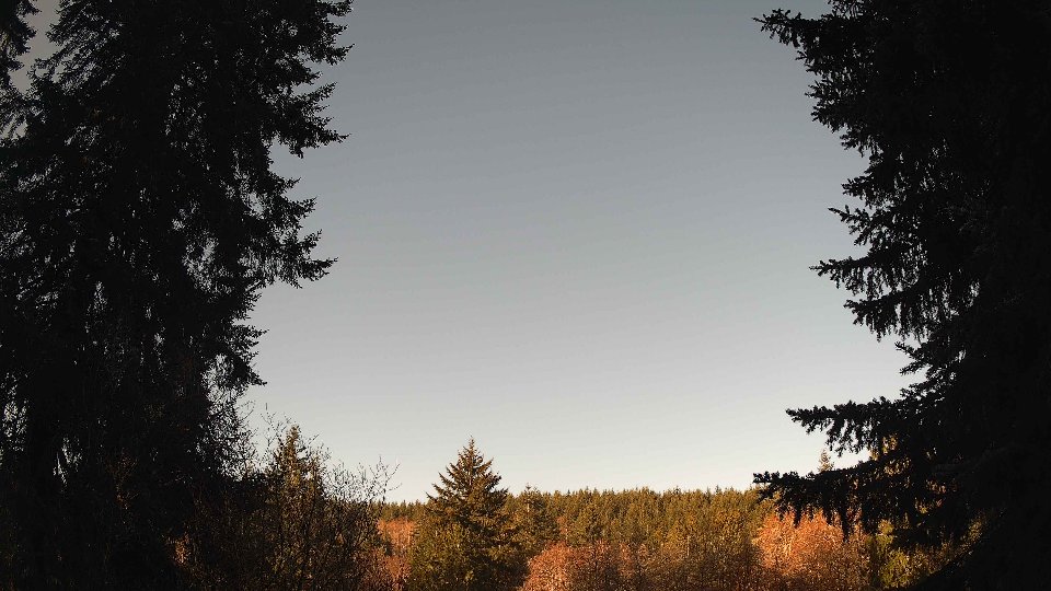 Pacific Northwest skyline timelapse frame from Mar 25th, 2026 at 8:45 AM