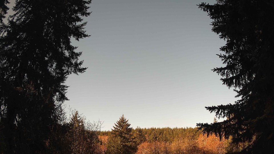 Pacific Northwest skyline timelapse frame from Mar 25th, 2026 at 9:00 AM