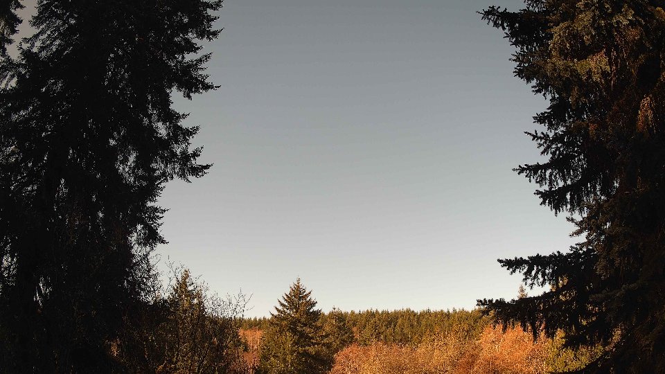 Pacific Northwest skyline timelapse frame from Mar 25th, 2026 at 9:15 AM