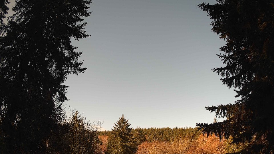Pacific Northwest skyline timelapse frame from Mar 25th, 2026 at 9:30 AM