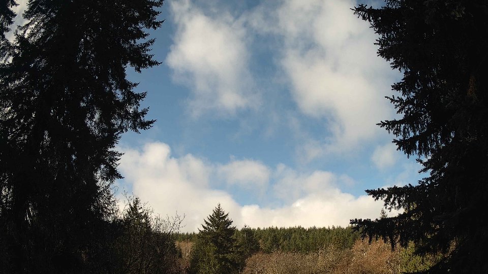 Pacific Northwest skyline timelapse frame from Mar 25th, 2026 at 9:45 AM