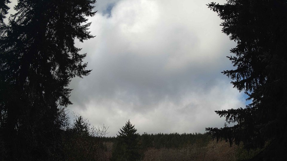 Pacific Northwest skyline timelapse frame from Mar 25th, 2026 at 10:00 AM