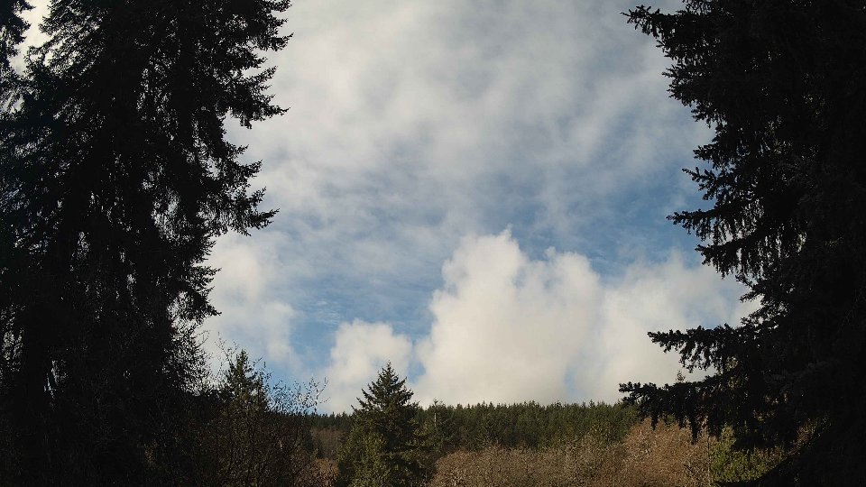 Pacific Northwest skyline timelapse frame from Mar 25th, 2026 at 10:15 AM