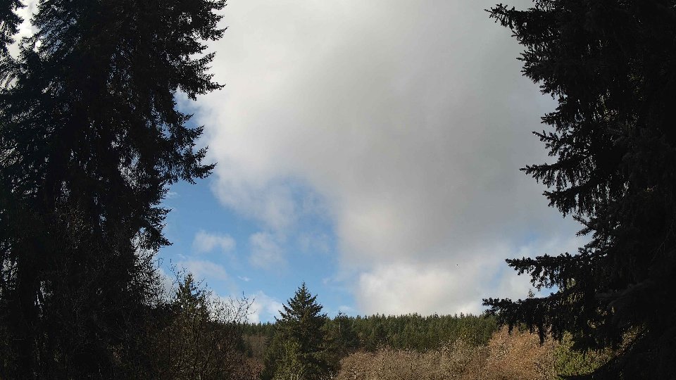Pacific Northwest skyline timelapse frame from Mar 25th, 2026 at 10:30 AM