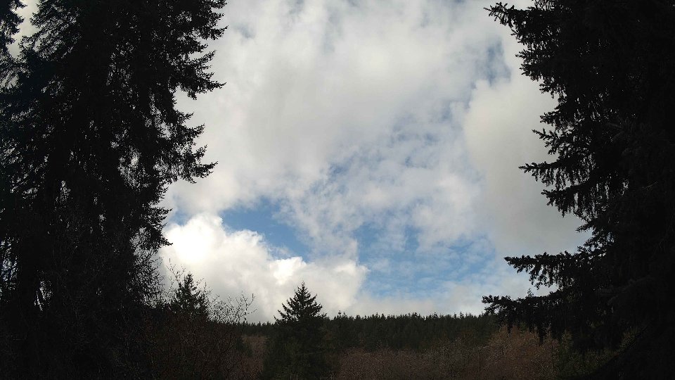 Pacific Northwest skyline timelapse frame from Mar 25th, 2026 at 10:45 AM