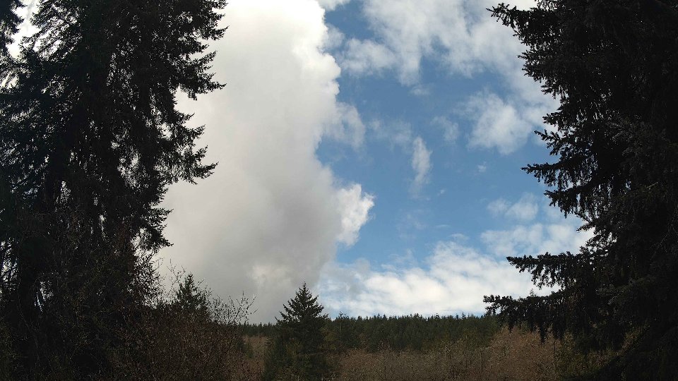 Pacific Northwest skyline timelapse frame from Mar 25th, 2026 at 11:15 AM