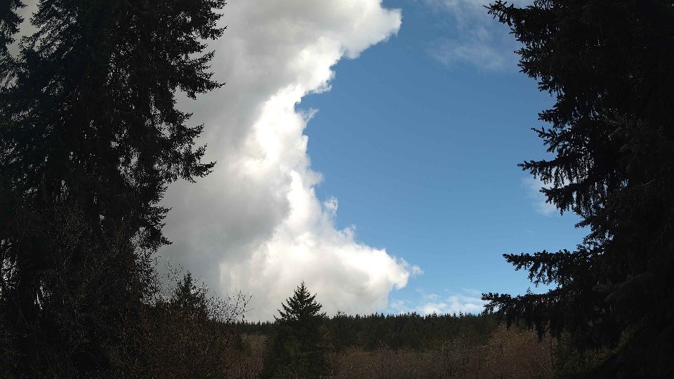 Pacific Northwest skyline timelapse frame from Mar 25th, 2026 at 11:30 AM