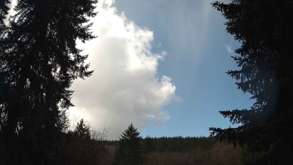 Pacific Northwest skyline timelapse frame from Mar 25th, 2026 at 11:45 AM