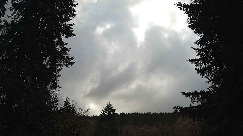 Pacific Northwest skyline timelapse frame from Mar 25th, 2026 at 4:15 PM
