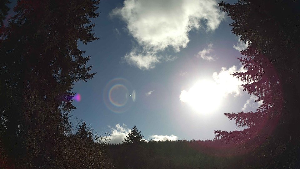 Pacific Northwest skyline timelapse frame from Mar 25th, 2026 at 5:00 PM