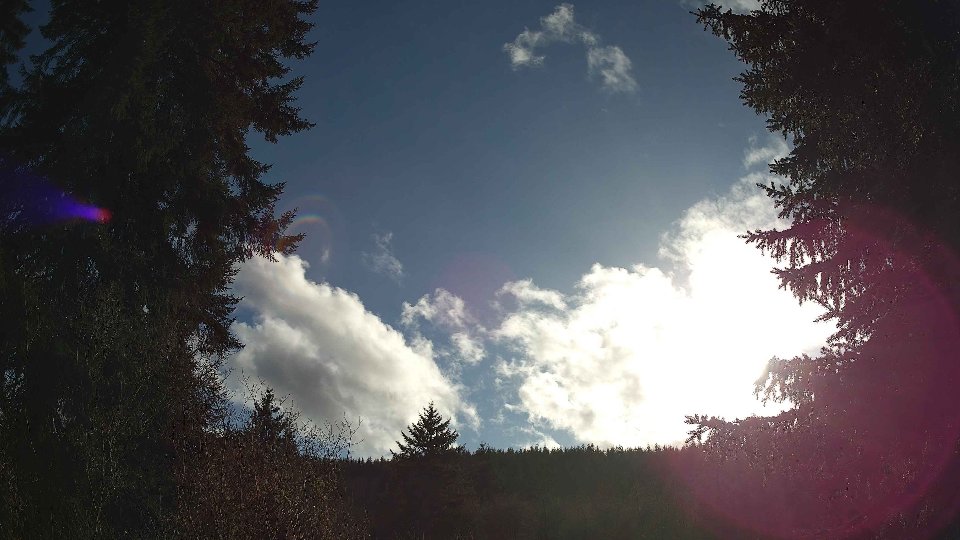 Pacific Northwest skyline timelapse frame from Mar 25th, 2026 at 5:30 PM