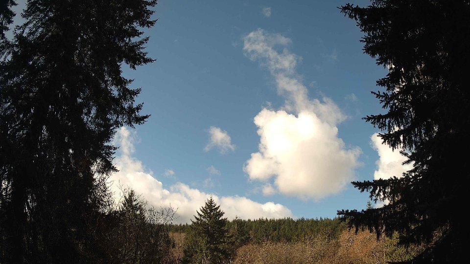Pacific Northwest skyline timelapse frame from Mar 26th, 2026 at 10:45 AM