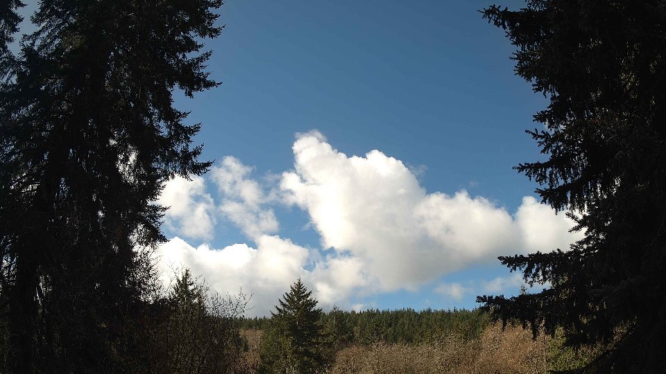 Pacific Northwest skyline timelapse frame from Mar 26th, 2026 at 11:00 AM
