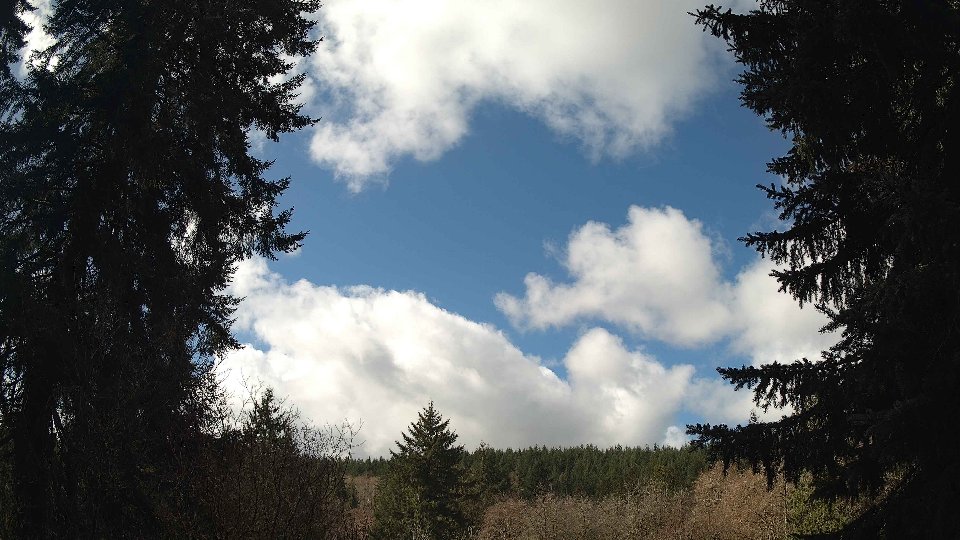 Pacific Northwest skyline timelapse frame from Mar 26th, 2026 at 11:15 AM