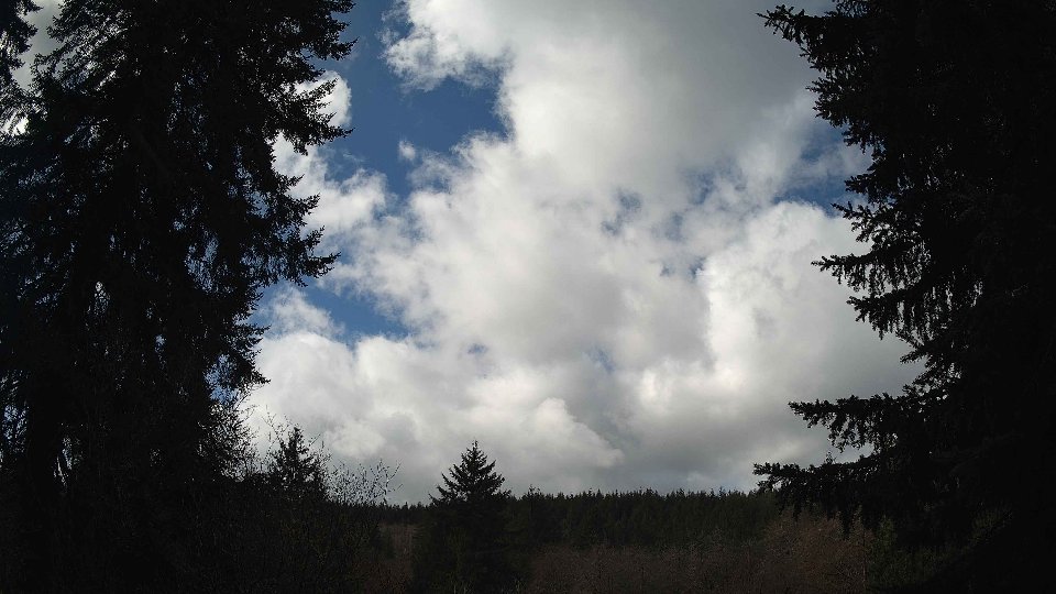 Pacific Northwest skyline timelapse frame from Mar 26th, 2026 at 11:30 AM