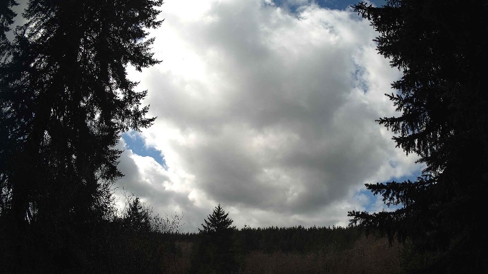 Pacific Northwest skyline timelapse frame from Mar 26th, 2026 at 12:30 PM
