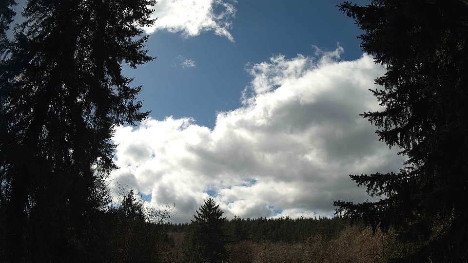 Pacific Northwest skyline timelapse frame from Mar 26th, 2026 at 1:30 PM