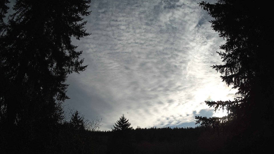 Pacific Northwest skyline timelapse frame from Mar 27th, 2026 at 8:15 PM