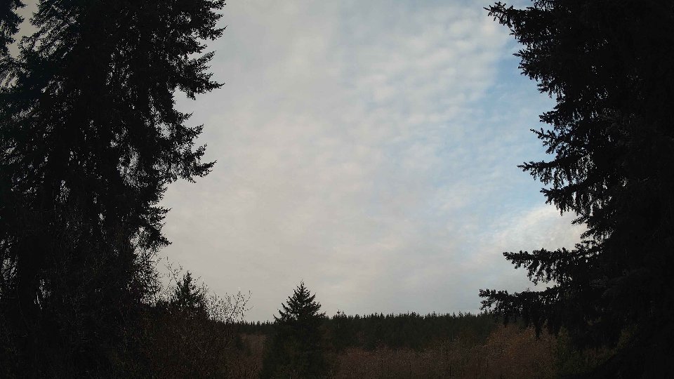 Pacific Northwest skyline timelapse frame from Mar 28th, 2026 at 8:00 AM