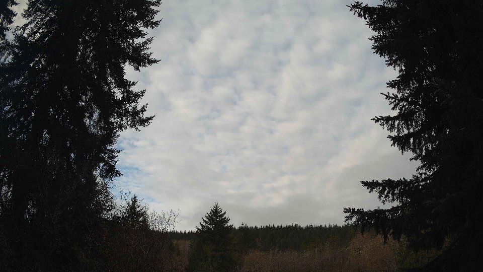 Pacific Northwest skyline timelapse frame from Mar 28th, 2026 at 8:30 AM