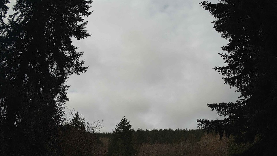 Pacific Northwest skyline timelapse frame from Mar 28th, 2026 at 10:00 AM