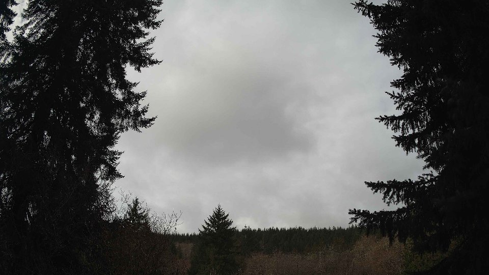 Pacific Northwest skyline timelapse frame from Mar 28th, 2026 at 10:15 AM