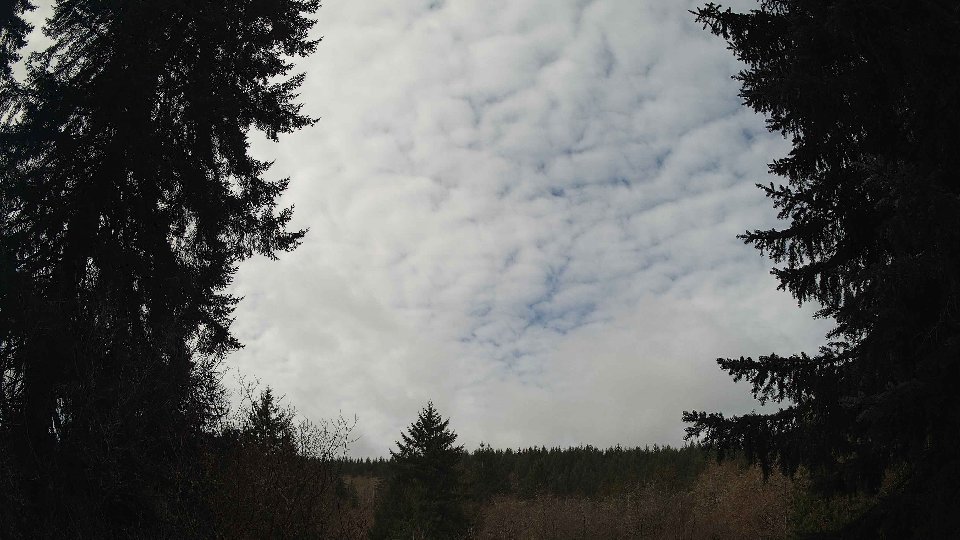 Pacific Northwest skyline timelapse frame from Mar 28th, 2026 at 10:30 AM