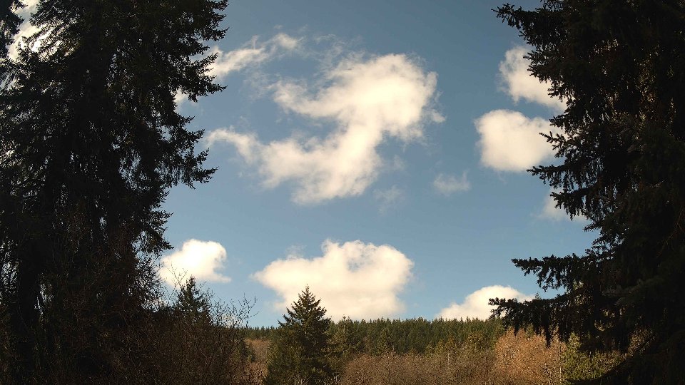 Pacific Northwest skyline timelapse frame from Mar 28th, 2026 at 11:00 AM